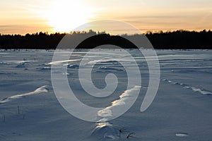 Snow covered winter forest at sunset