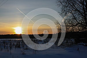 Snow covered winter forest at sunset