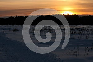 Snow covered winter forest at sunset