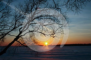 Snow covered winter forest at sunset