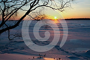 Snow covered winter forest at sunset