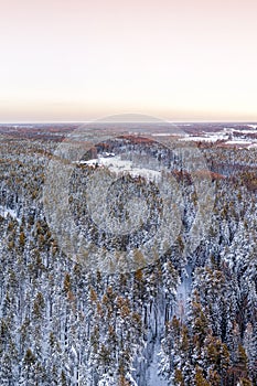 Snow covered winter forest view from drone during sunrise