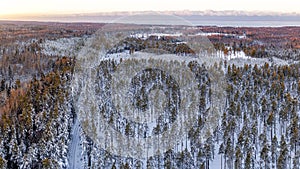 Snow covered winter forest view from drone during sunrise