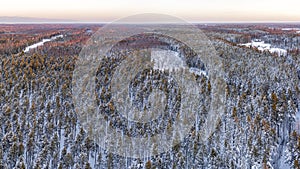 Snow covered winter forest view from drone during sunrise