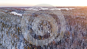 Snow covered winter forest view from drone during sunrise