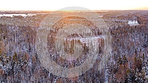 Snow covered winter forest view from drone during sunrise