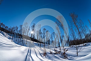 Snow covered winter landscape