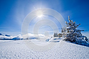 Snow covered winter landscape with the sun and blue sky