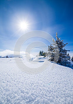 Snow covered winter landscape with the sun and blue sky