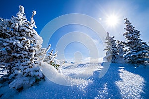 Snow covered winter landscape with the sun and blue sky