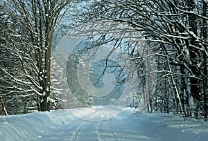 A Snow Covered Winter Road