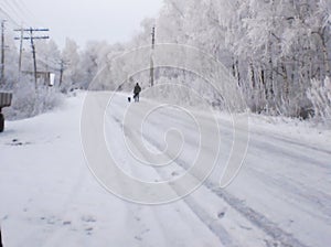 Snow-covered winter road, birches in hoarfrost, winter landscape, soft focus