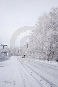 snow-covered winter road, birches in hoarfrost, winter landscape