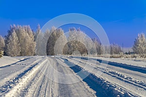 Snow covered winter road lined with trees