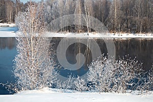 Snow-covered winter white trees on the river bank, reflections in blue water