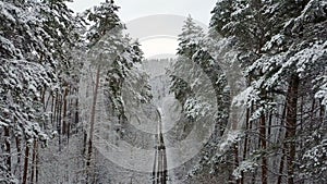 Snow-covered winter wooden alley with a road