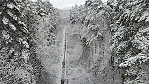 Snow-covered winter wooden alley with a road