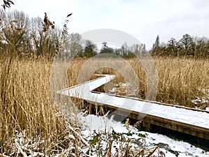 Snow covered wooden boardwalk in a wetlands centre