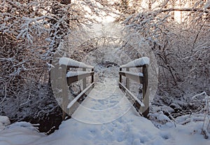 Snow covered wooden bridge with foot steps in front of forest in the winter season