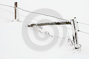 Snow covered wooden fence
