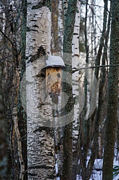 Snow covered wooden log birdhouse on a birch tree in winter photo