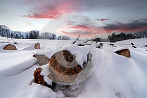 Snow covered wooden logs