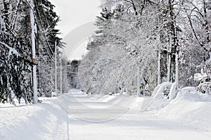 Snow covered Woodsy Suburban Road after Storm