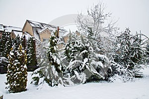 Snow-covered yard with a pool in a beautiful neighborhood in Bucharest. Christmas background.