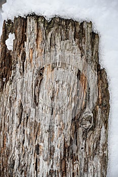 Snow covering a rotting wooden post