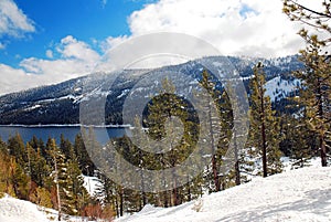 Snow covers the forest surrounding Lake Tahoe