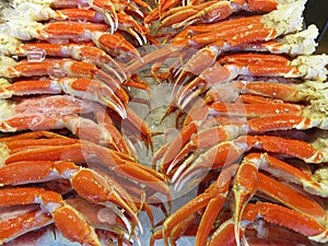 Snow Crab Claws for Sale