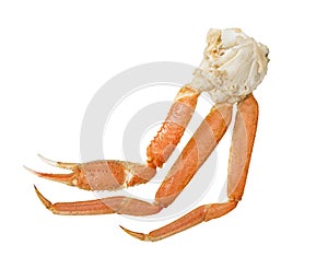 Snow crab  cluster  on a white  background