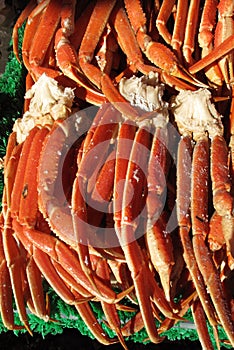 Snow Crab Clusters photo