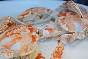snow crab Steaming boiled crab, Japanese food, specialty crab, snow crab, female giant snow crab