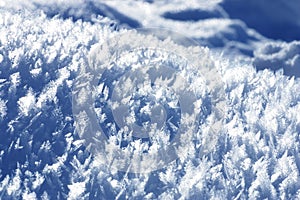 Snow crystals photo