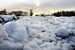 Snow crystals form into balls of protruding shards of ice in a field of grass.