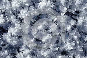 Snow crystals on the ground