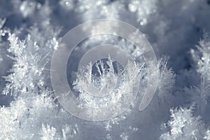 Snow crystals on the ground