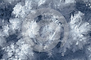 Snow crystals on the ground