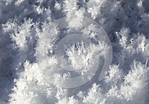 Snow crystals on the ground