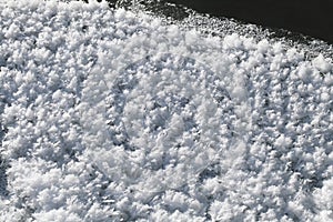 Snow crystals on the ground