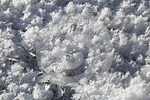 Snow crystals on the ground
