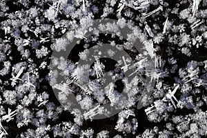 Snow crystals on the ground