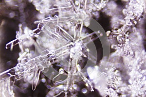 Snow Crystals