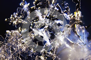 Snow Crystals
