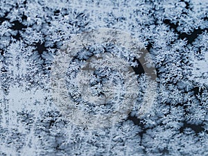 Snow Crystals On Window