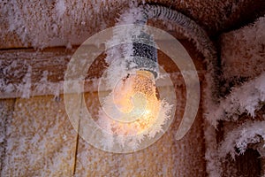 Snow crystals on a wooden wall and a light bulb