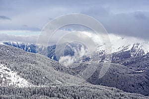 snow day on the alps in val di fiemme
