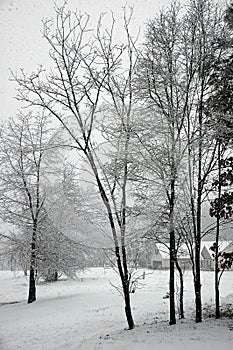 Snow day at Georgia, USA