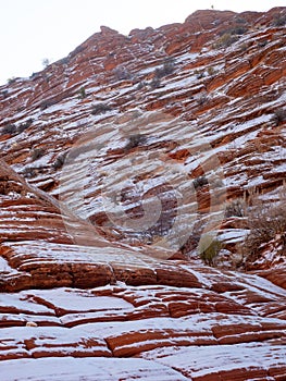 Snow in the desert